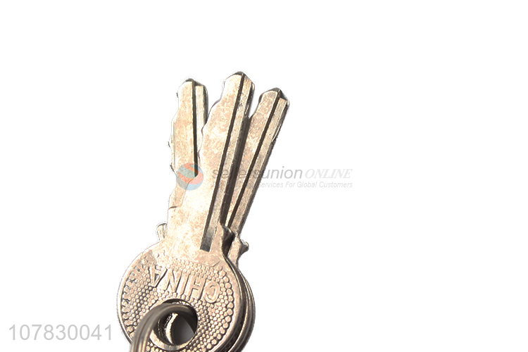 Good quality household waterproof theftproof iron padlock and keys