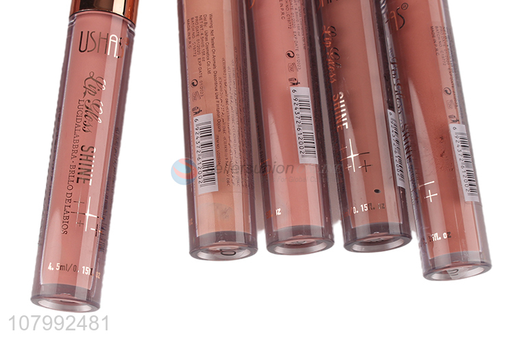 Popular products long lasting ladies lip gloss cosmetic for sale