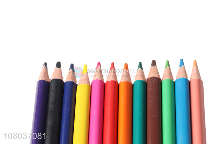 High Quality 12 Plastic Colored Thick Pencils Set