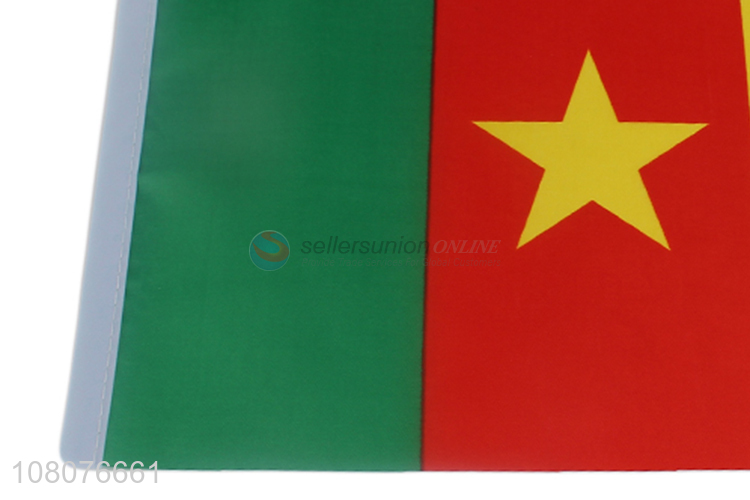 Hot selling decorative Cameroon national flags hanging flags