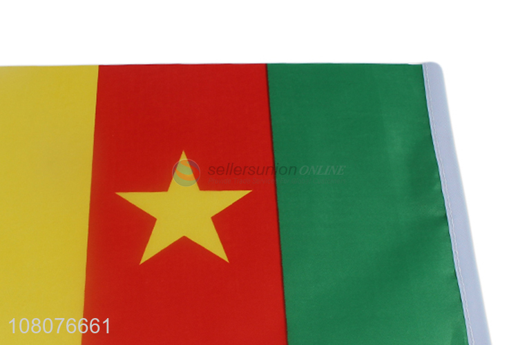 Hot selling decorative Cameroon national flags hanging flags