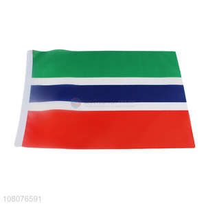 China factory decorative Gambia country flags mini national flags