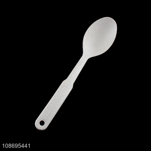Factory price long handle home restaurant kitchen utensils basting spoon for sale