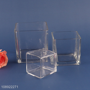 Top sale square clear glass living room decor flower vase hydroponic vase