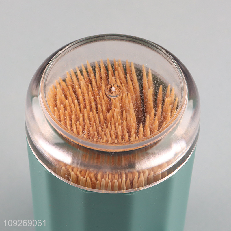 China factory cactus shape box refined bamboo toothpick for sale