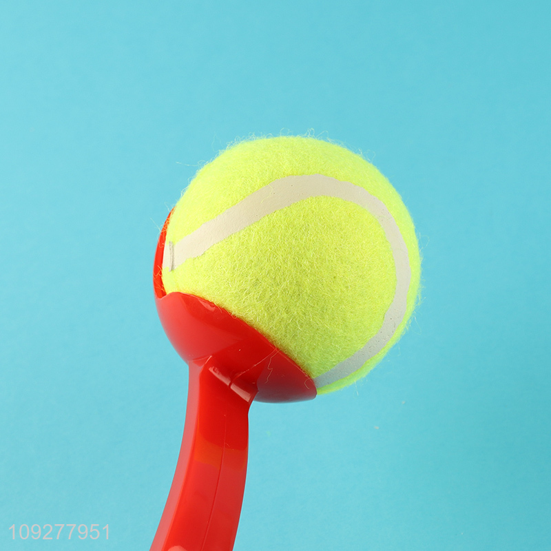 Hot selling outdoor pet throwing ball toys dog interactive toys