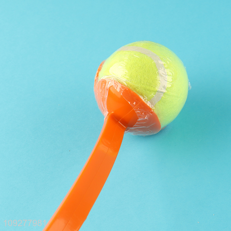 China products pet throwing ball toys pet training toys