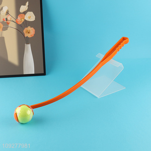 China products pet throwing ball toys pet training toys