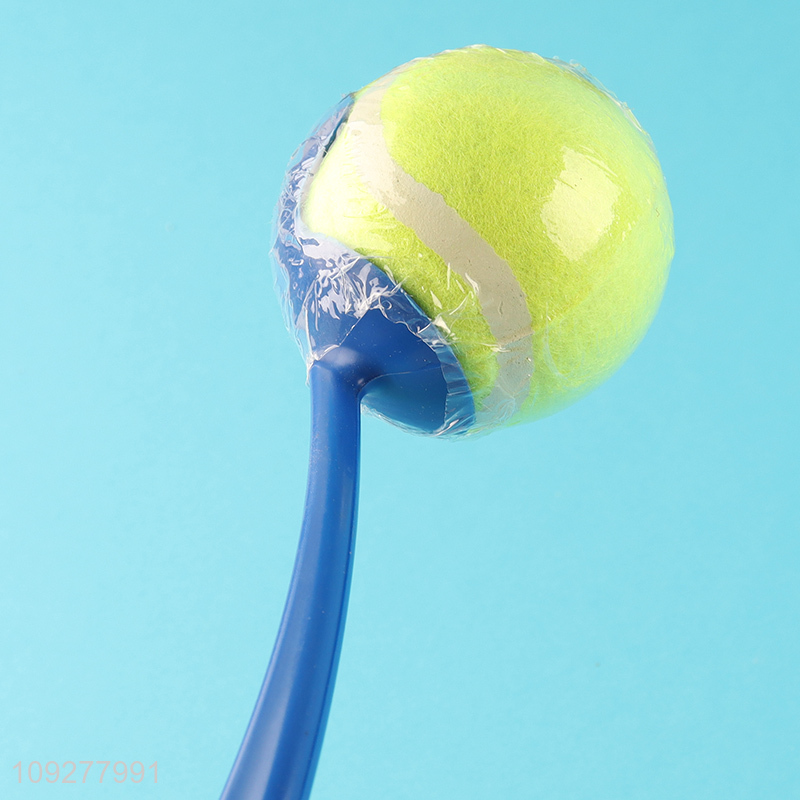 Low price outdoor pet throwing ball toys pet training toys