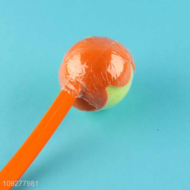 China products pet throwing ball toys pet training toys