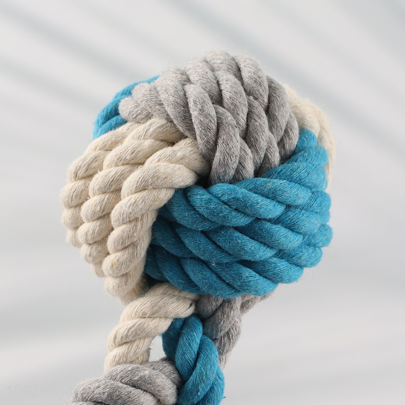 China products pet chew toys teething toys pet training toys