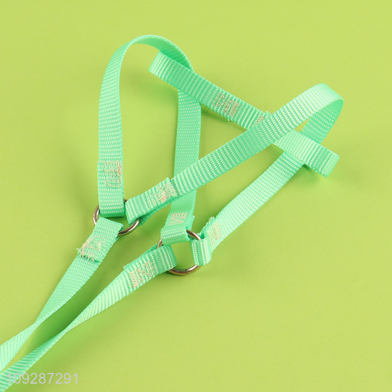 Low price adjustable outdoor pet collar pet leash