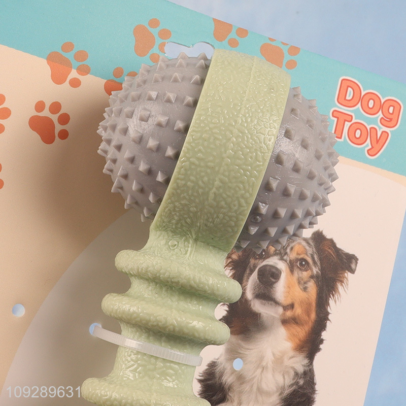Top products bite-resistant pet chew toys teething toys