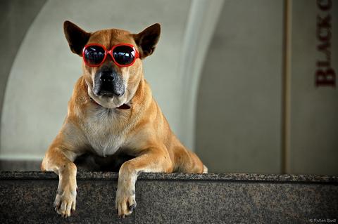  Wearing Sunglasses to Keep Your Eyes Healthy
